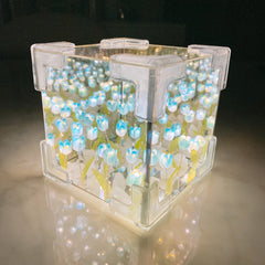 Illuminate Your Space: Mirror Rubik's Cube Tulip Night Lamps